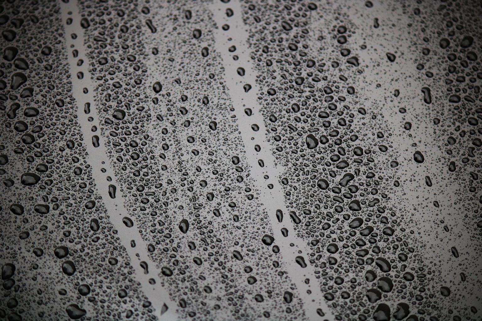 raindrops on a window