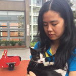 person with long black hair holding a black and white kitten