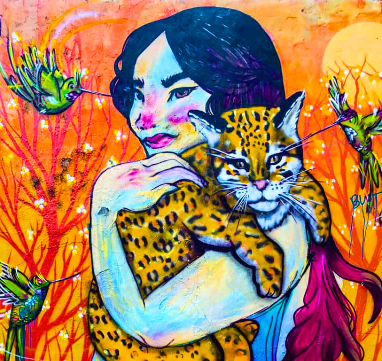 drawing: woman holding spotted feline