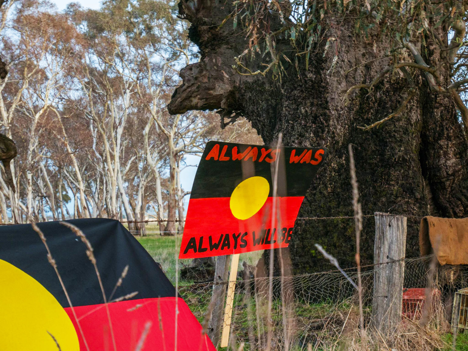 a fence and placard saying "always was, always will be" over the Aboriginal flag