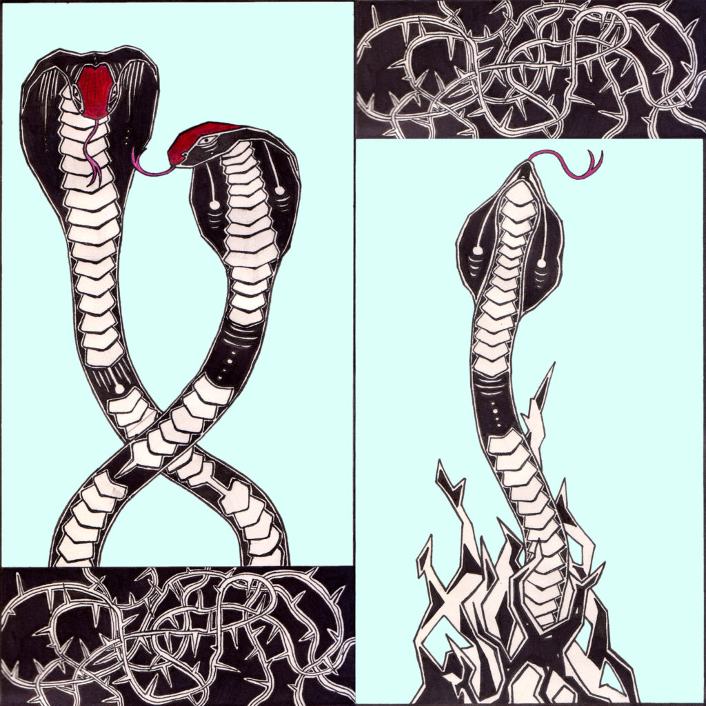 A two panel comic showing two entwined snakes in one panel, then one snake in the other