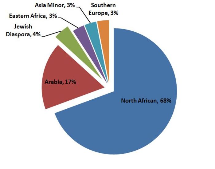 pie graph showing the percentages of egyptian dna origins